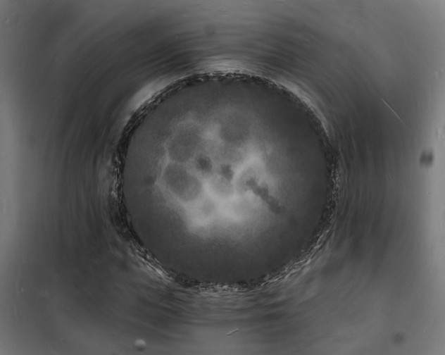 X0000102220823200807251209