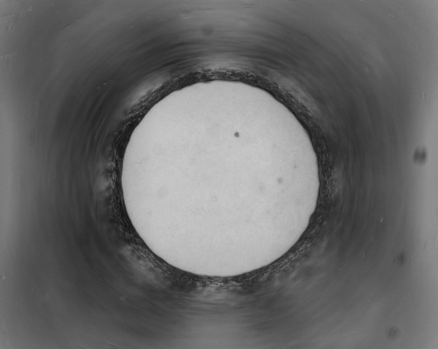 X0000102220824200807251209