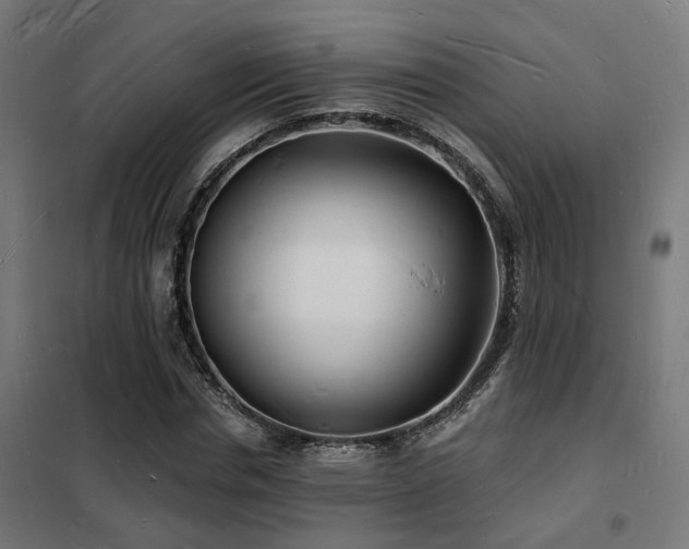 X0000102220826200807251209