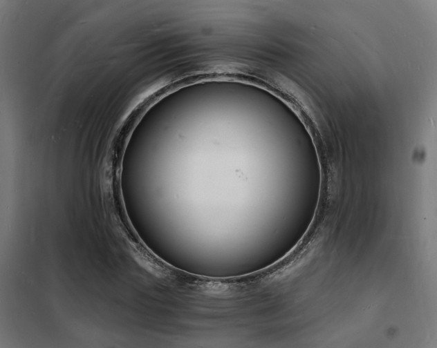 X0000102220827200807251209