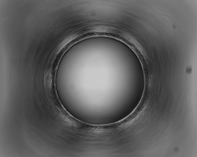 X0000102220829200807251209