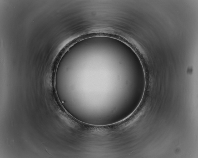 X0000102220830200807251209