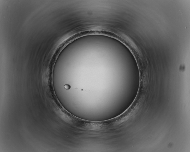 X0000102220831200807251209