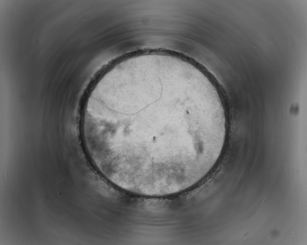 X0000102220832200807251209