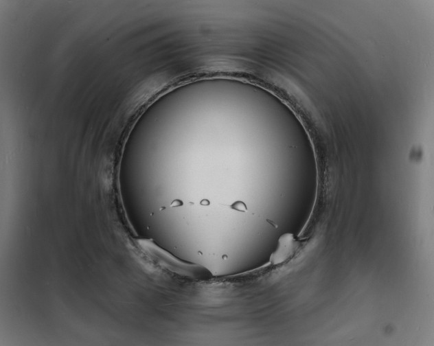 X0000102220833200807251209