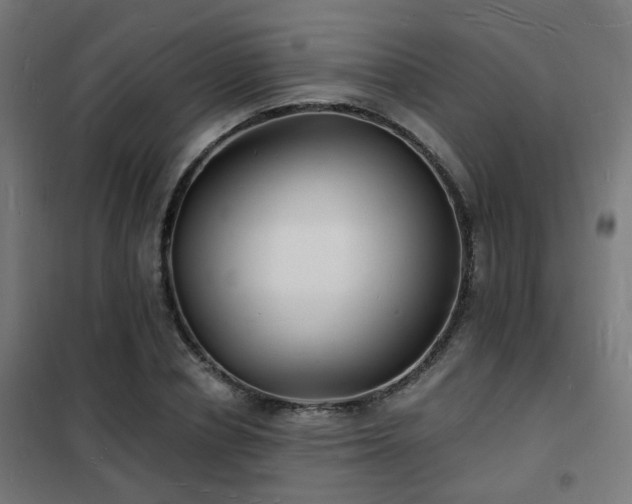 X0000102220834200807251209