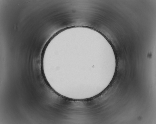 X0000102220836200807251209