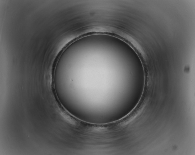 X0000102220837200807251209