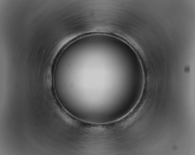 X0000102220838200807251209