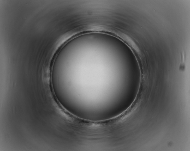 X0000102220839200807251209