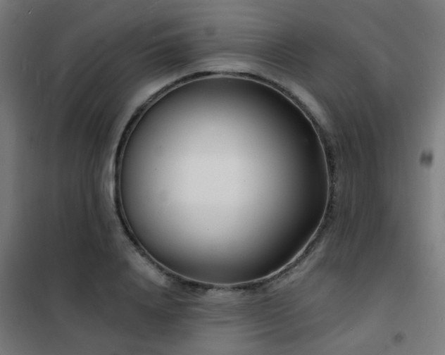 X0000102220840200807251209