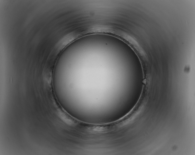 X0000102220841200807251209