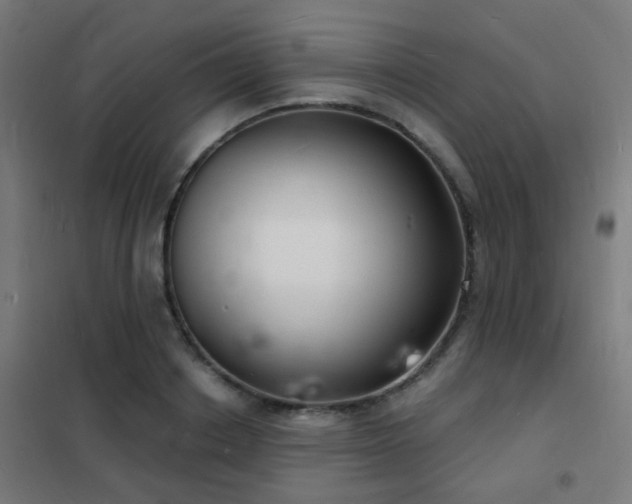 X0000102220842200807251209