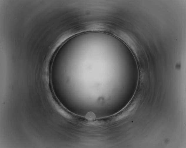 X0000102220843200807251209