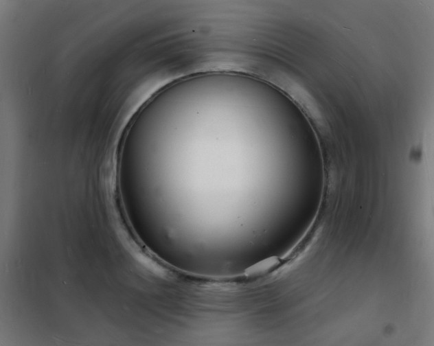 X0000102220844200807251209