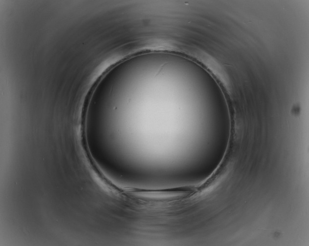 X0000102220845200807251209