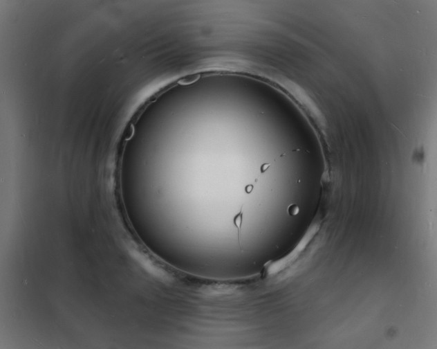 X0000102220846200807251209