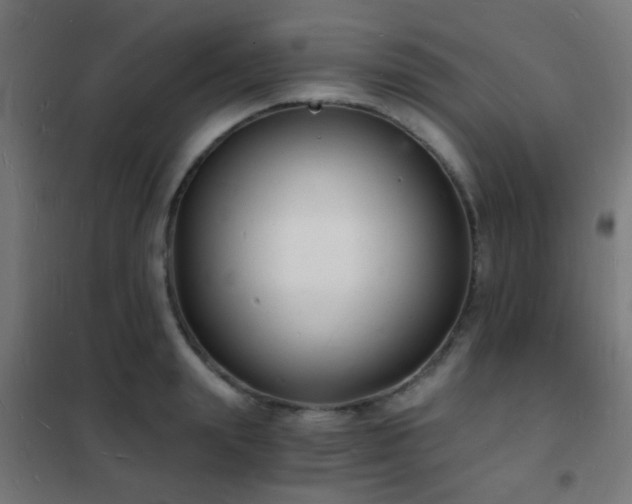 X0000102220847200807251209