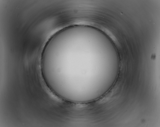 X0000102220848200807251209