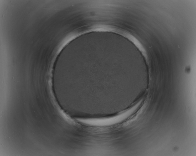 X0000102220853200807251209