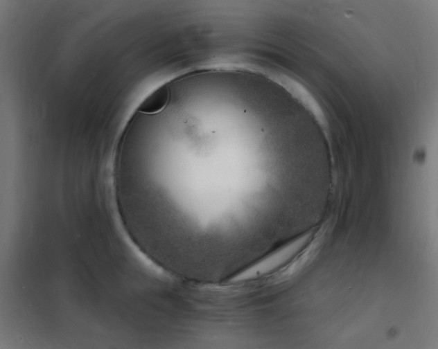 X0000102220855200807251209