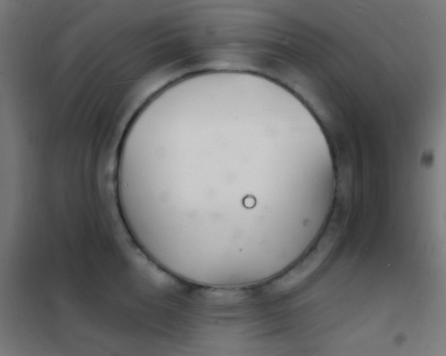 X0000102220856200807251209