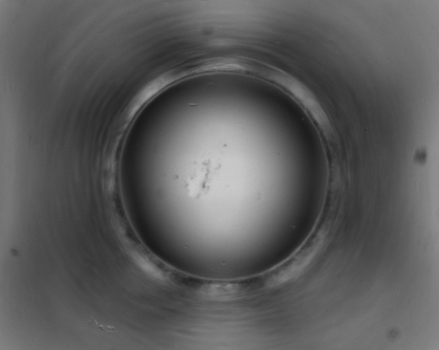 X0000102220858200807251209