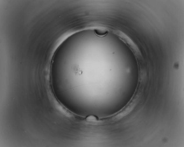 X0000102220860200807251209