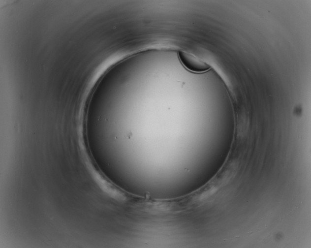 X0000102220861200807251209