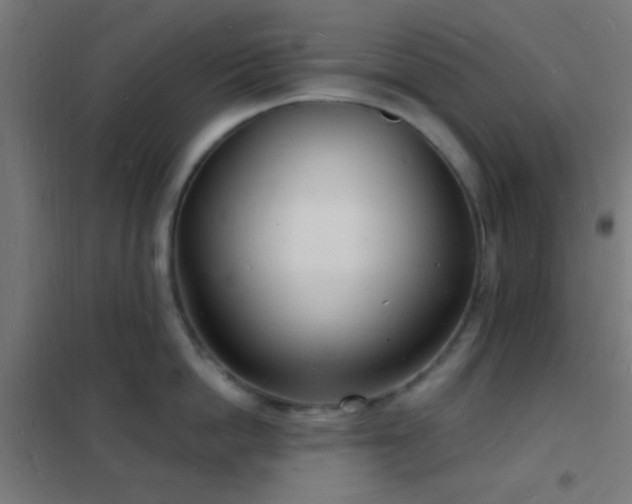 X0000102220862200807251209