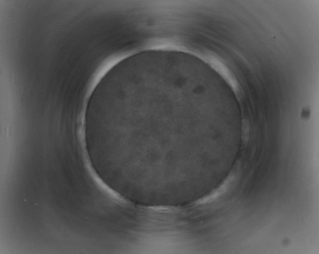 X0000102220863200807251209