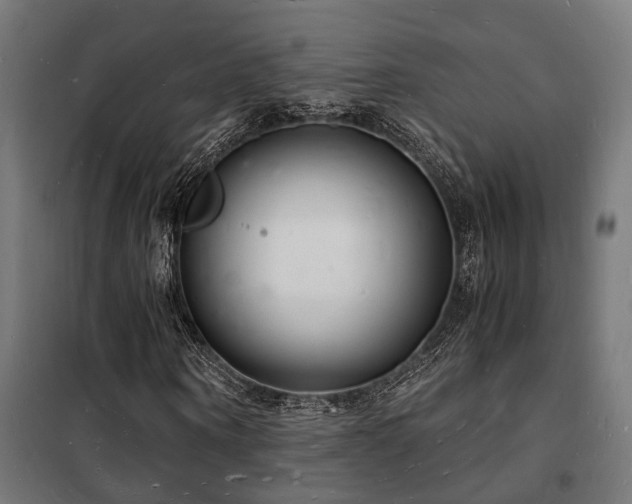 X0000102220866200807251209