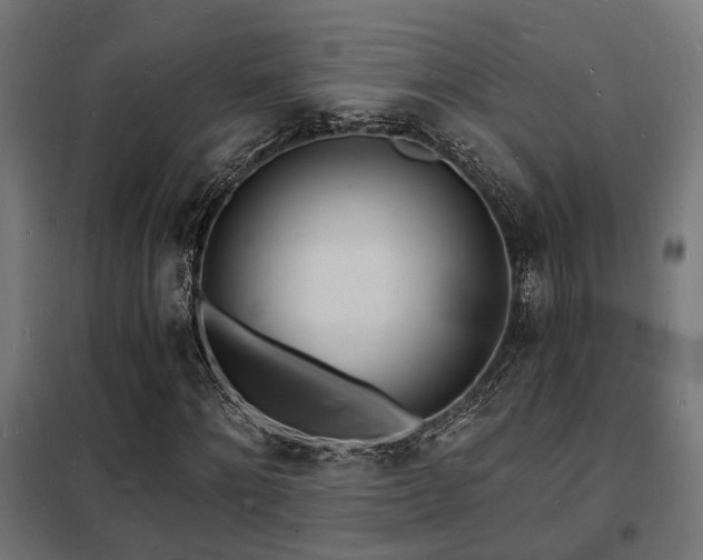 X0000102220868200807251208