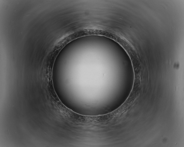 X0000102220870200807251208