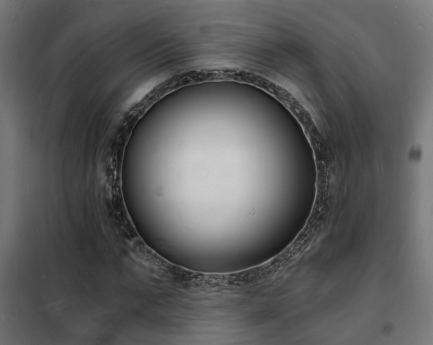 X0000102220871200807251208