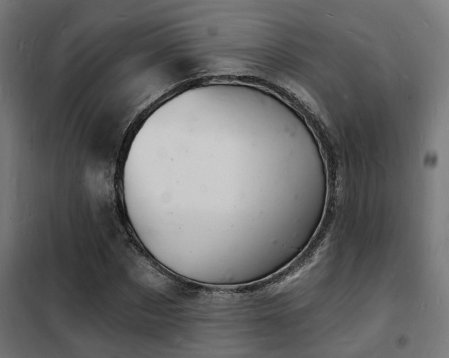 X0000102220873200807251208