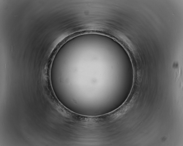 X0000102220875200807251208