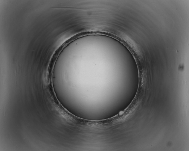 X0000102220876200807251208