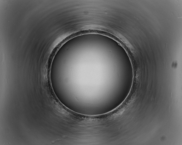 X0000102220877200807251208