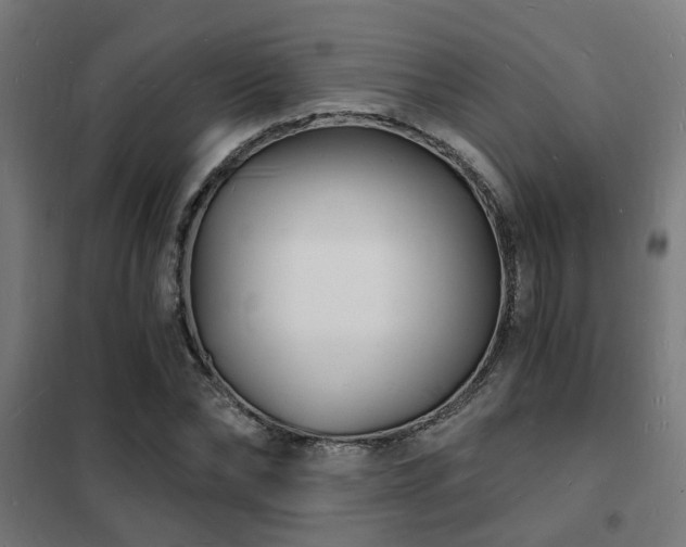 X0000102220878200807251208