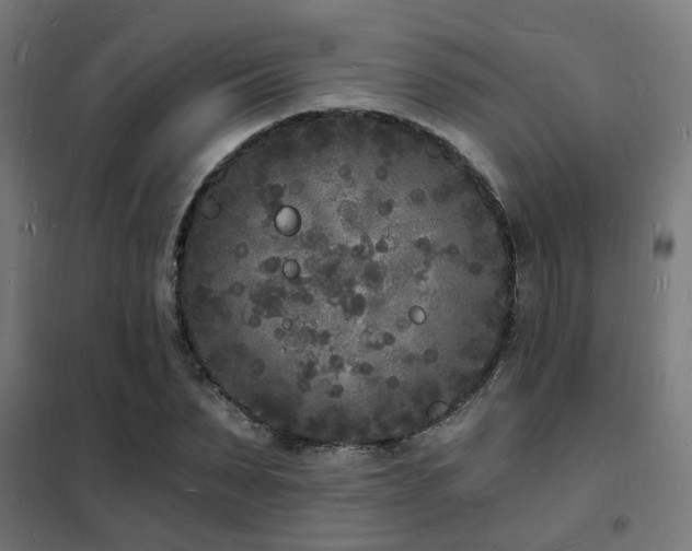 X0000102220879200807251208