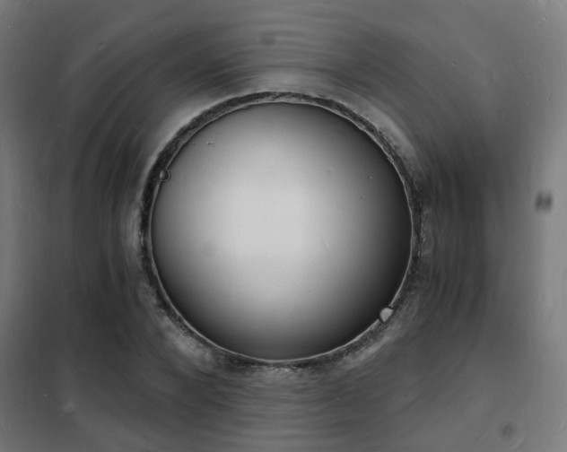 X0000102220880200807251208