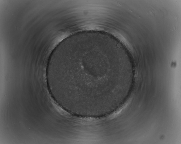 X0000102220881200807251208