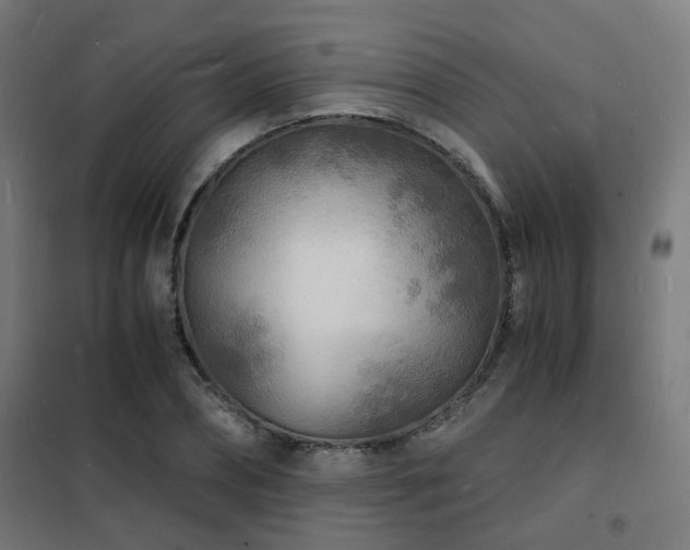 X0000102220882200807251208