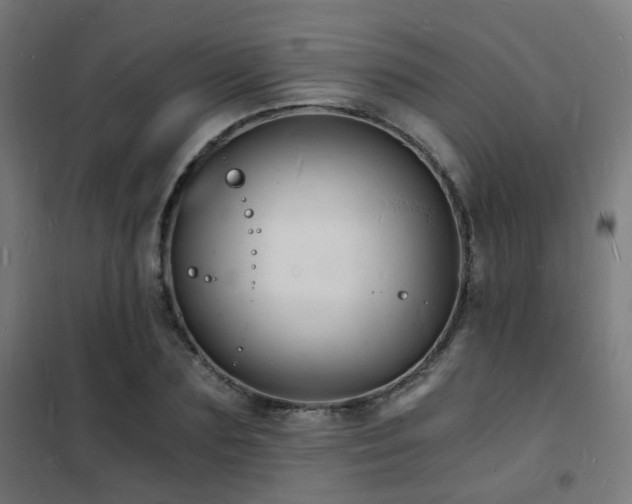 X0000102220883200807251208