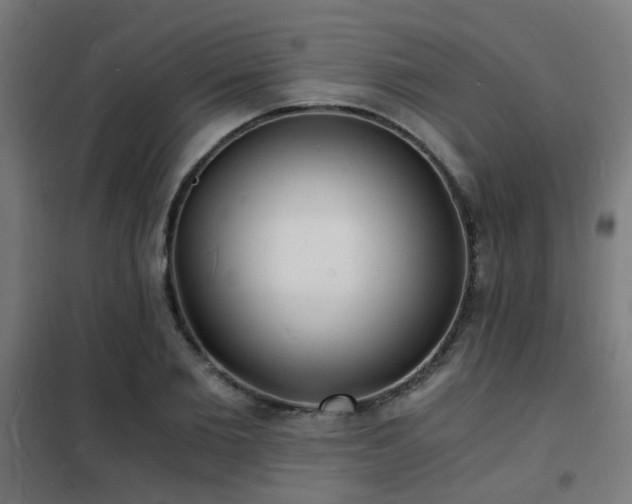 X0000102220885200807251208