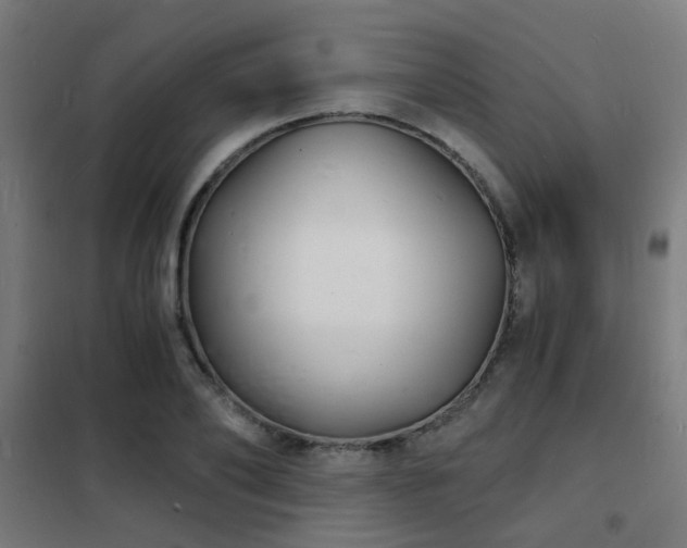 X0000102220886200807251208