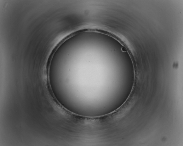 X0000102220887200807251208