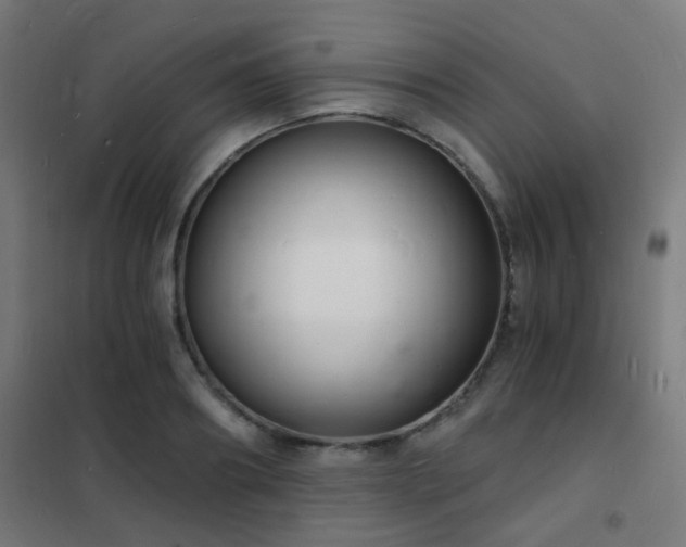 X0000102220890200807251208