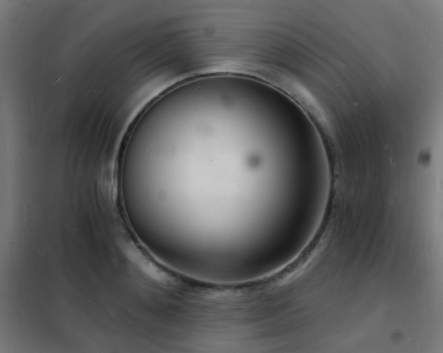 X0000102220892200807251208